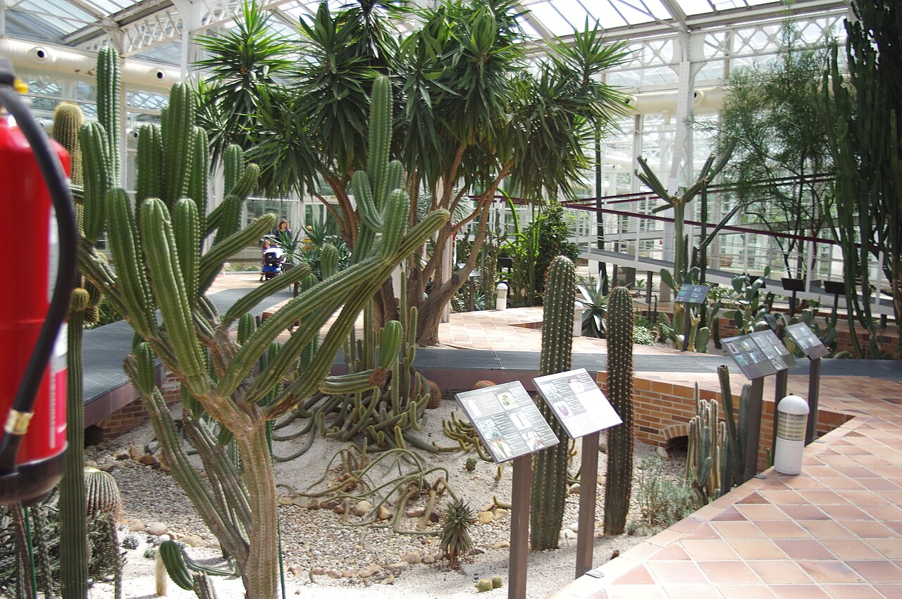 Imagen ilustrativa — miembros de la redacción de Teatra en fila, Jardín Botánico 1988